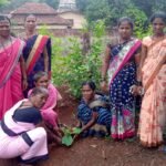 वृक्षलागवड